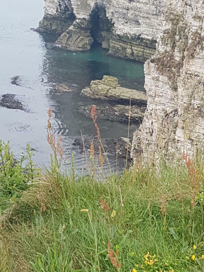 Cameron court B&B Flamborough Exterior foto